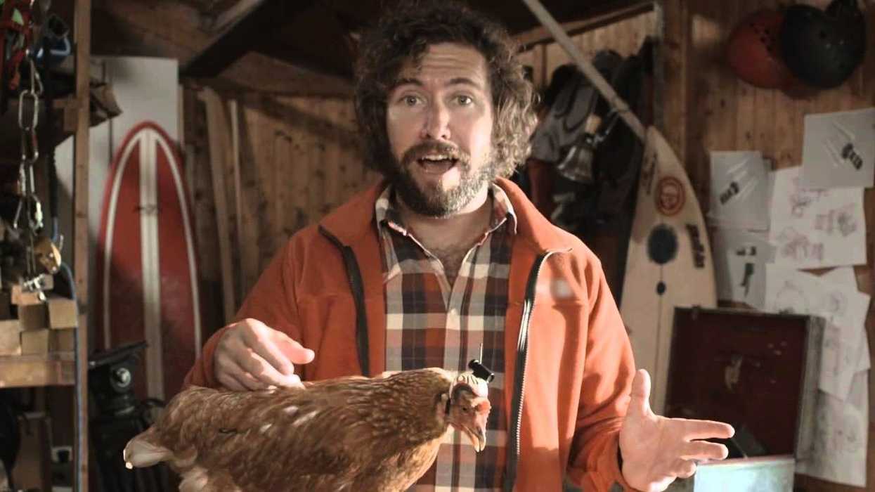 Steady-feathers