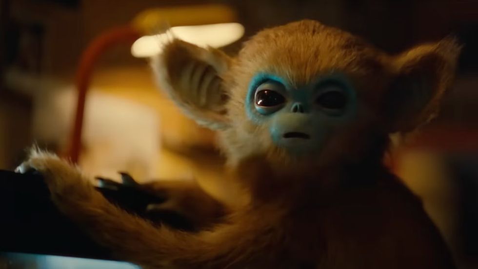 Sundance Announces 96 Projects Ahead of Their 2025 Fest