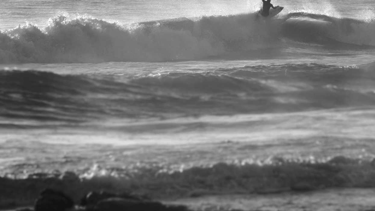 Surfer