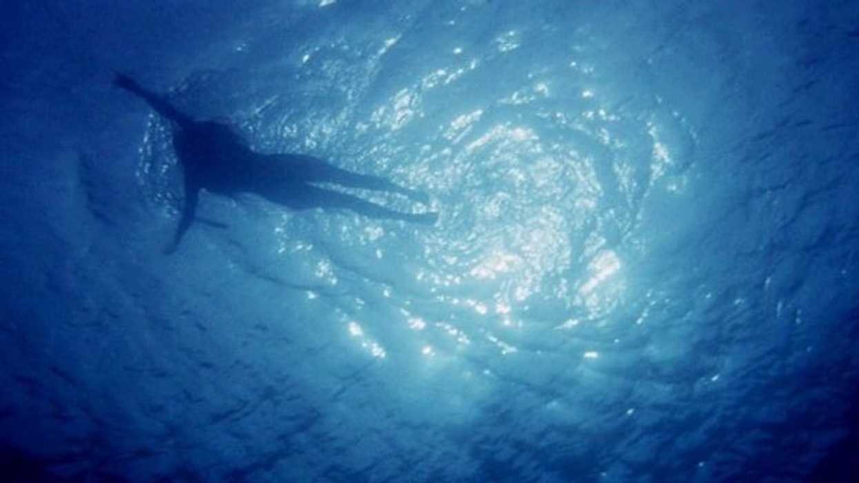 The Best Shark Movies