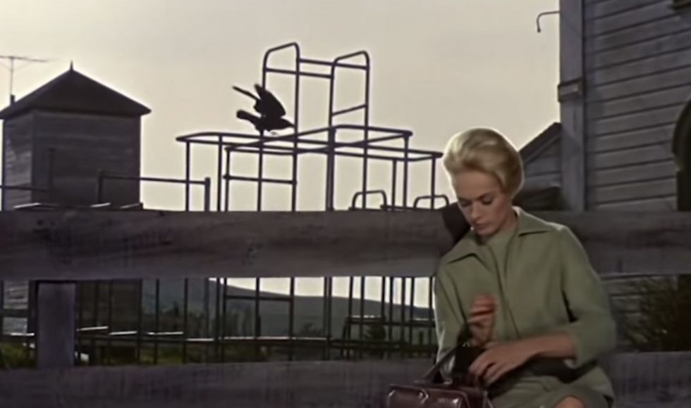 The_birds_1