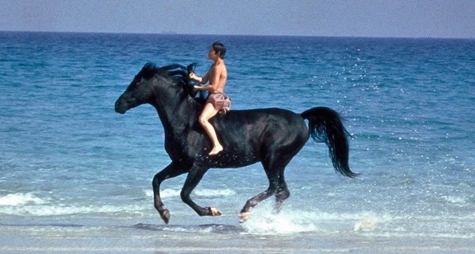 The_black_stallion_and_parekh