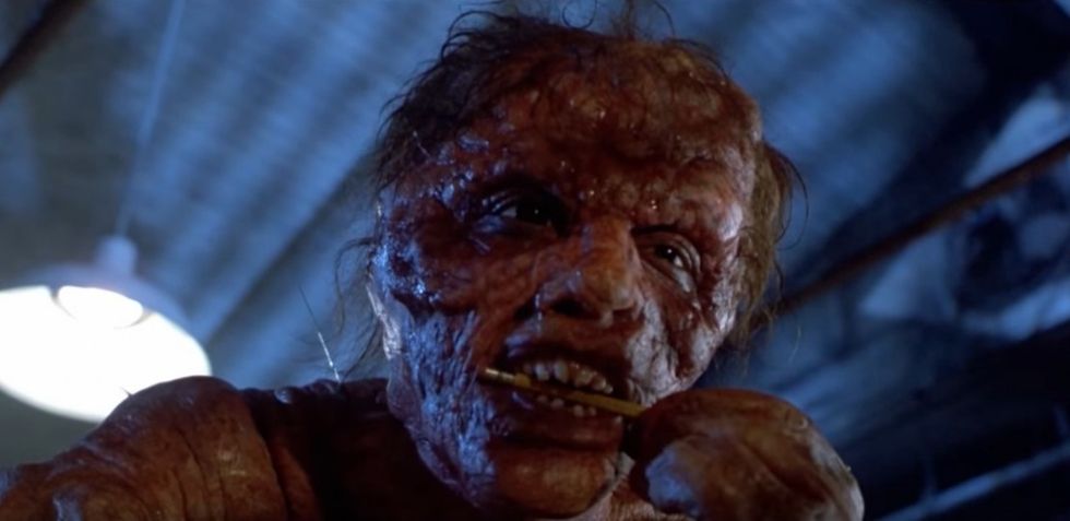 The Fly