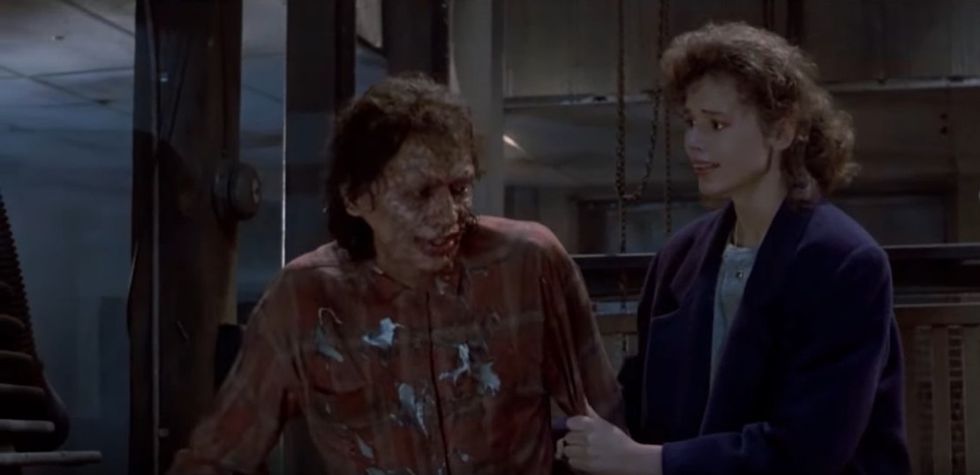 The Fly