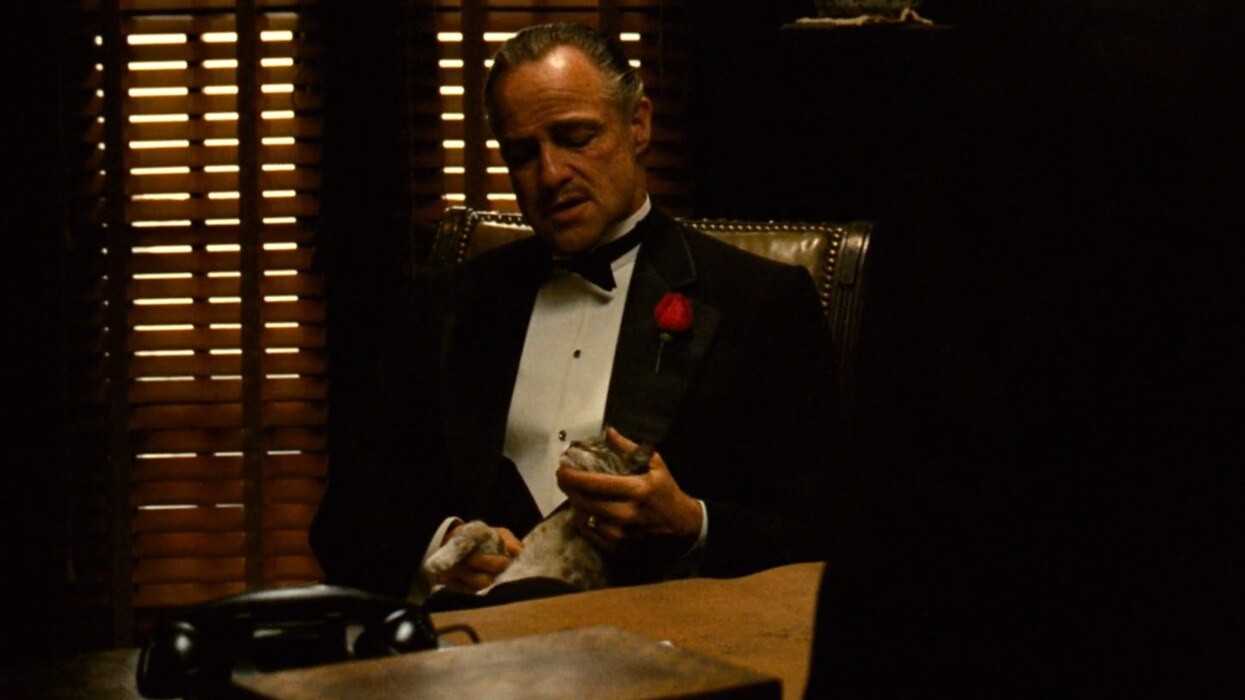 The Godfather’s Cat: A Furry Accident That Made Film History
