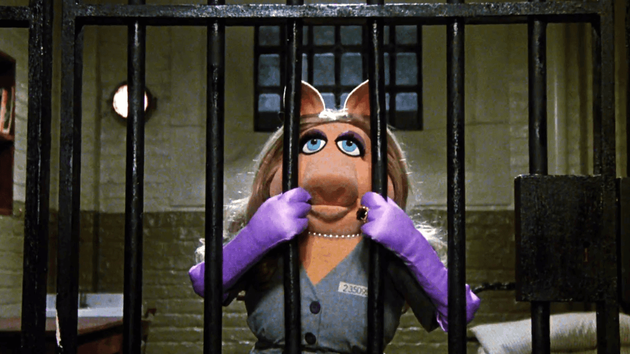 The Great Muppet Caper