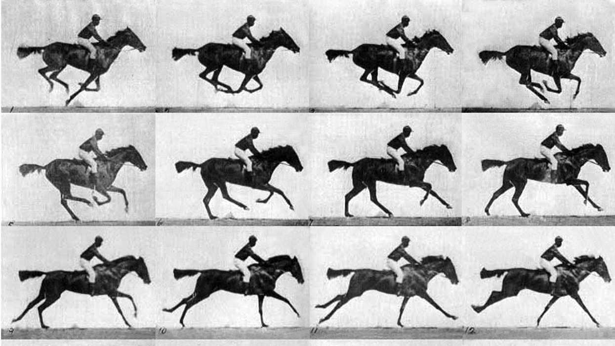 The_horse_in_motion_eadweard_muybridge