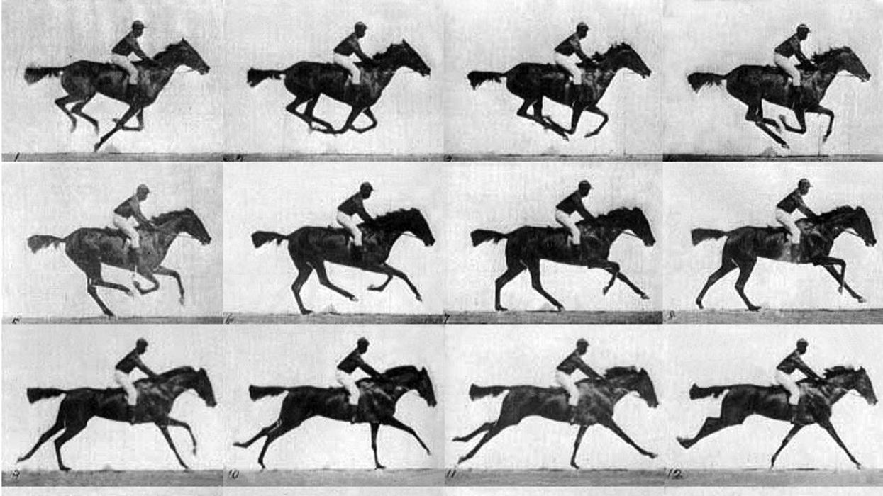 The_horse_in_motion_eadweard_muybridge