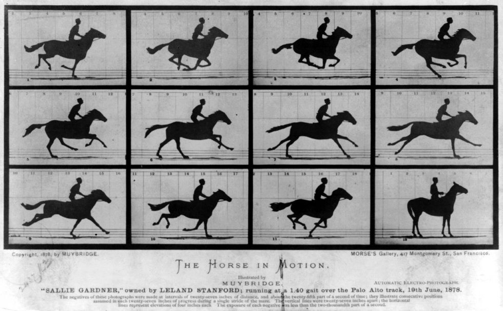 The_horse_in_motion