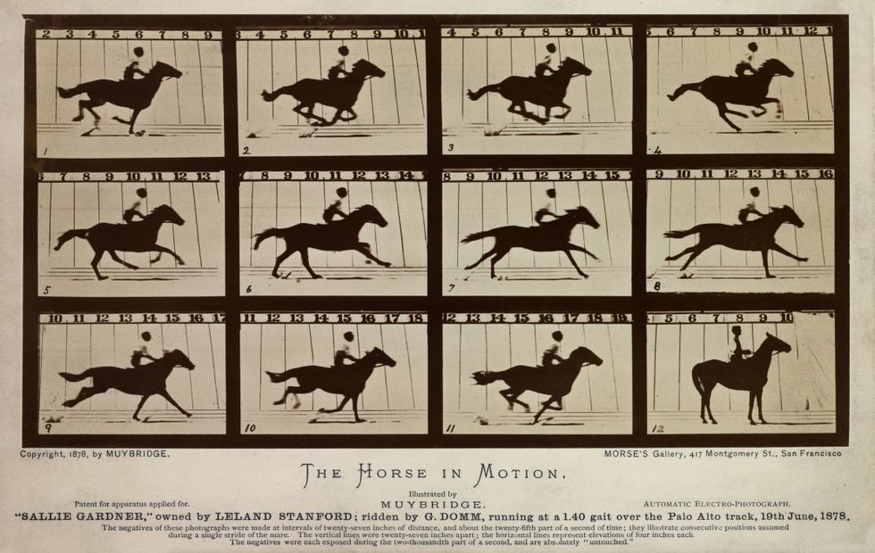 The-horse-in-motion
