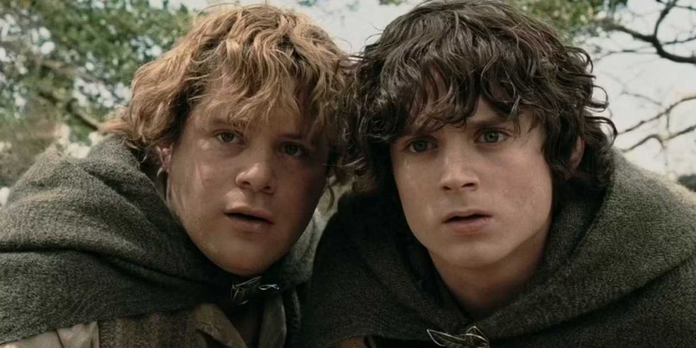 The Lord of the Rings: The Fellowship of the Ring