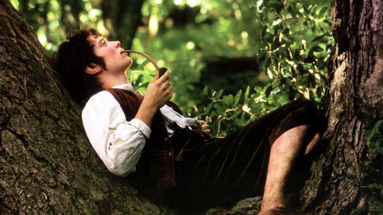 'The Lord of the Rings: the Fellowship of the Ring'