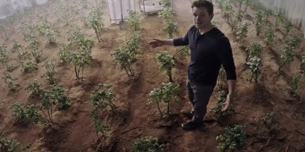 The_martian_plants_on_mars