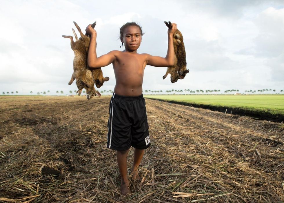 The-rabbit-hunt-f65747