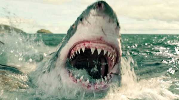 The shark emerging from the ocean in The Shallows