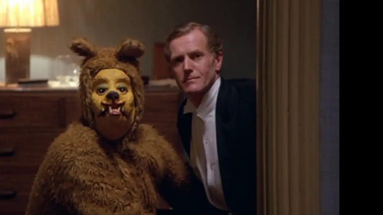 the shining bear