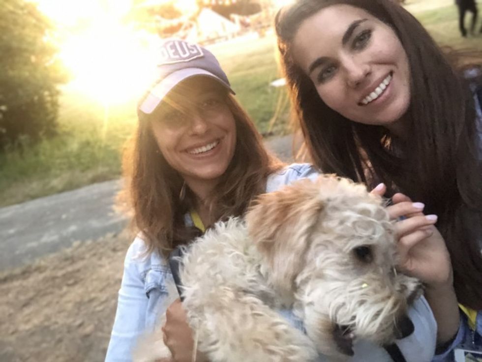 The_team_albert_dog
