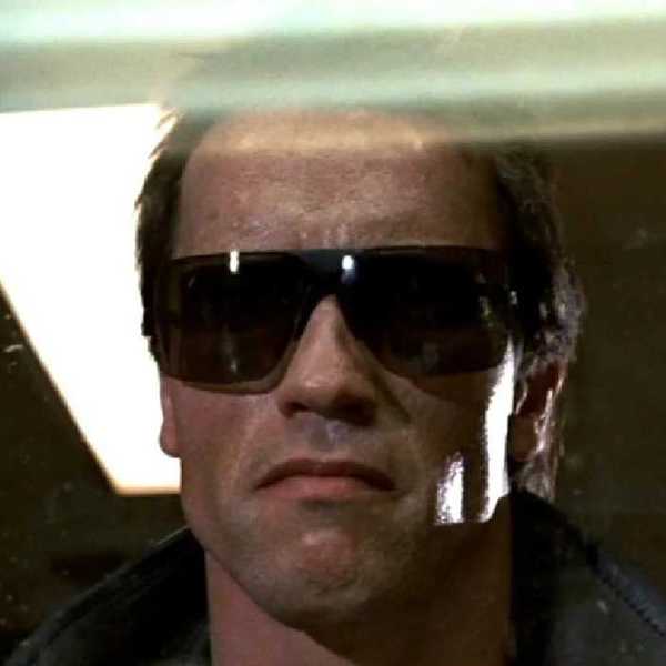 'The Terminator'
