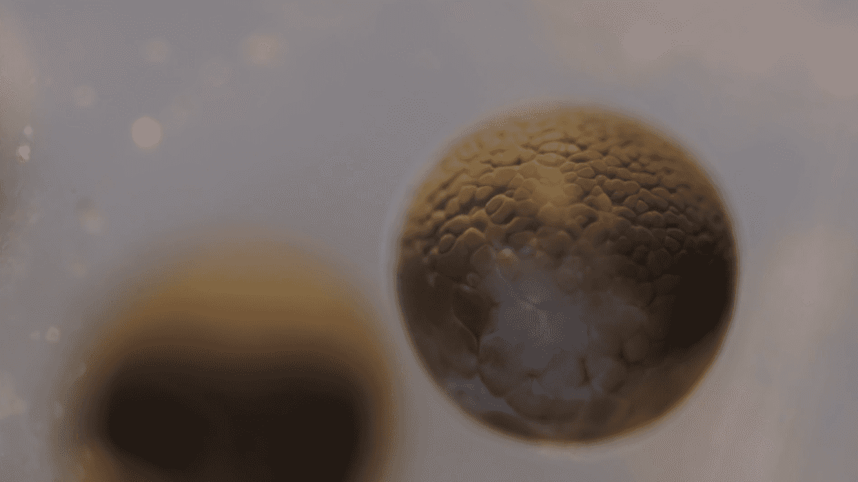 Timelapse_0