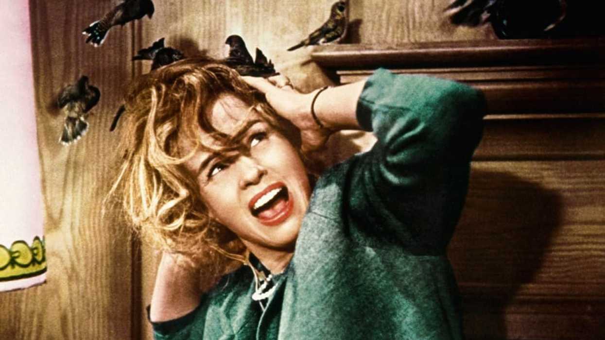 Tippi Hedren as Melanie Daniels being attacked by birds in 'The Birds'