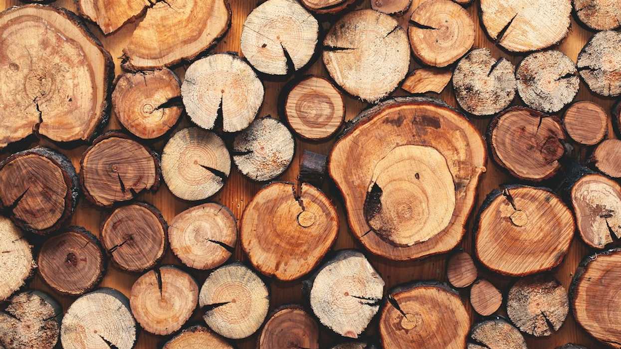 Try This Free Logline Generator