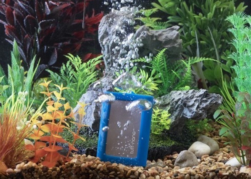 Tuff_nano_4i6a6356_edited_water_no_box_august-16-2019-600x600