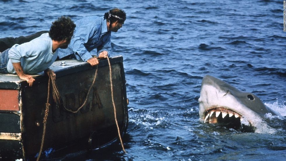 Two men staring at a shark in the water, 'Jaws'