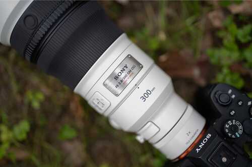\u200bThe Sony 300mm f/2.8 GM OSS in the wild