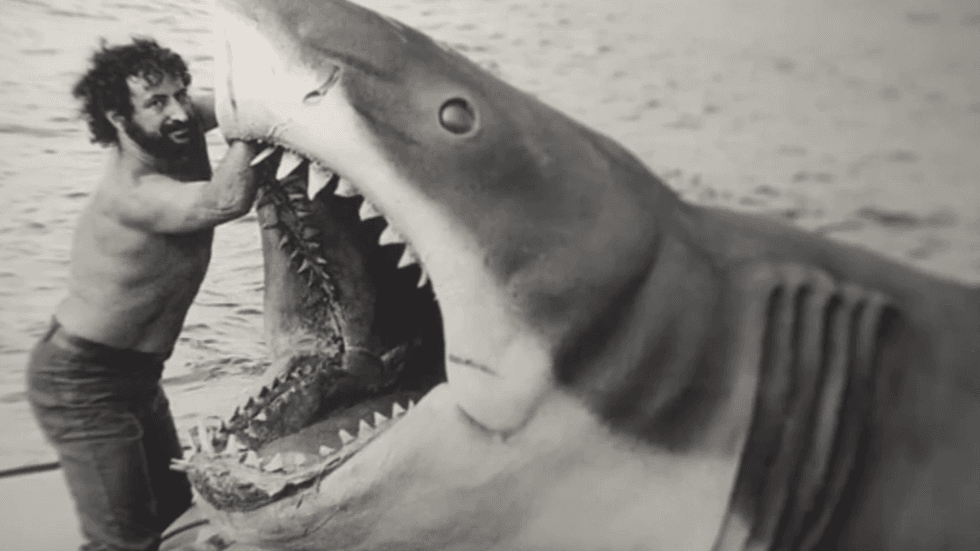 \u2018Sharksploitation\u2019 (2023)
