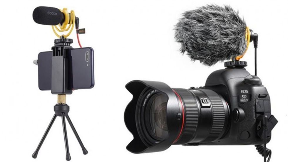 Vd-mic_1