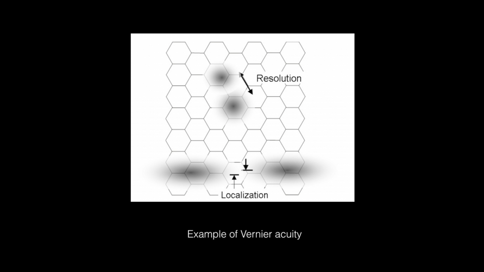 Vernier Acuity Diagram