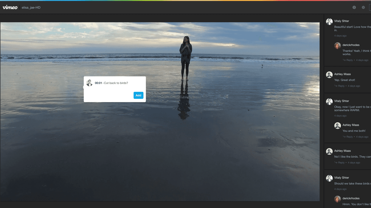 Vimeo Video Review