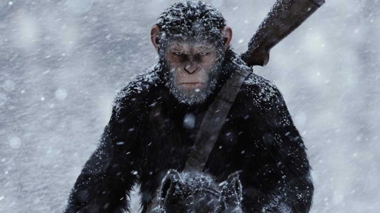 Warplanetoftheapes