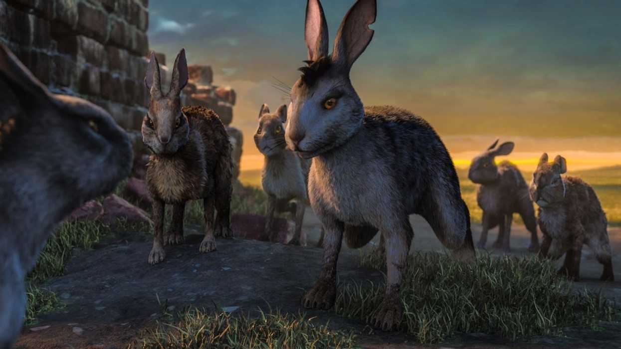 watership down 1