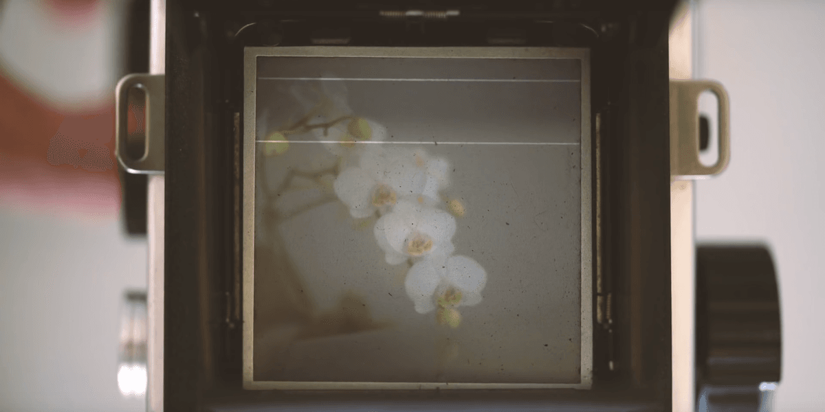 36 Creative Experiments to Add to Your Filmmaking Bucket List | No Film ...