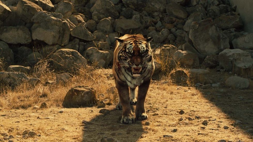 Westworld-tiger