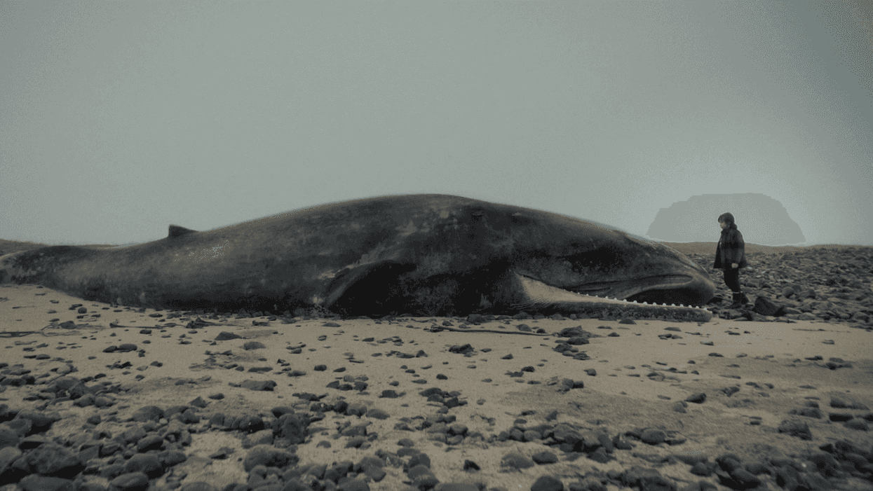 Whale_valley_0