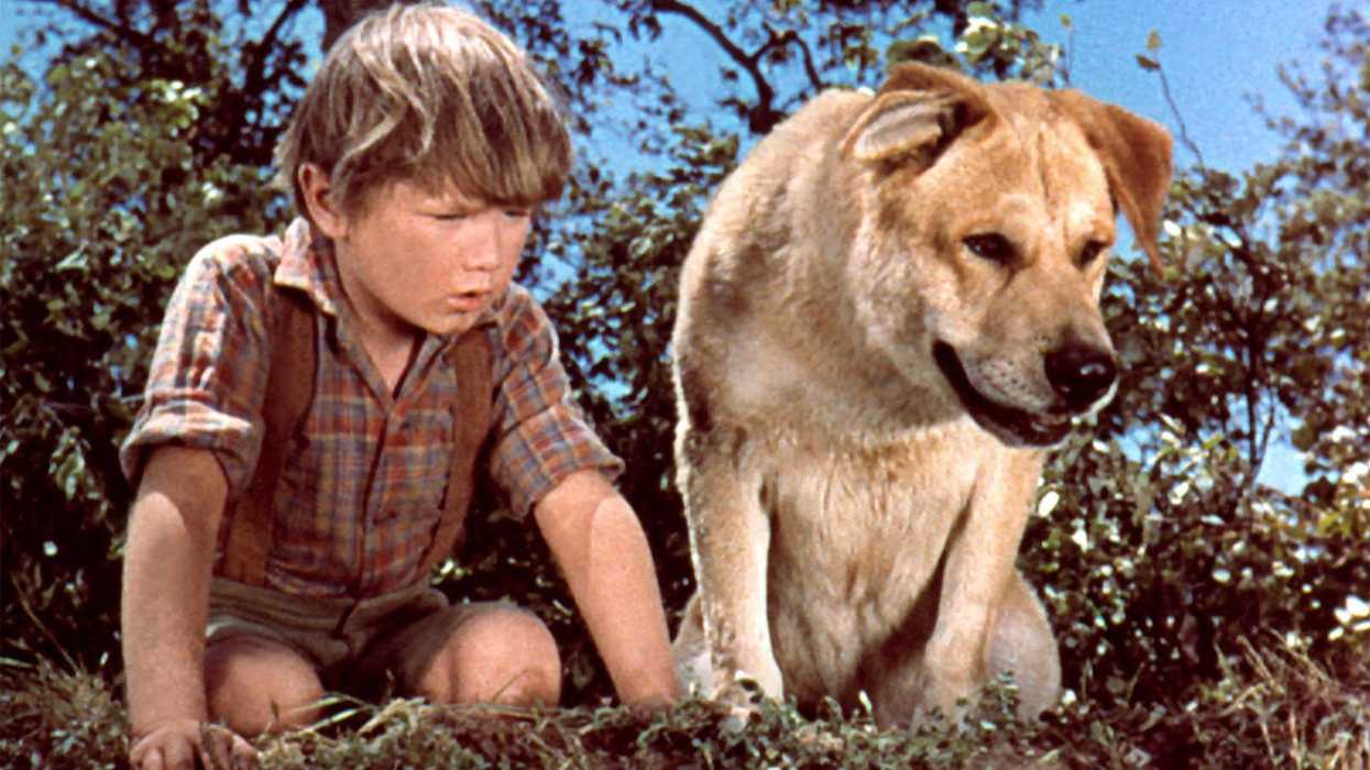 What Are The Saddest Movies of All Time?