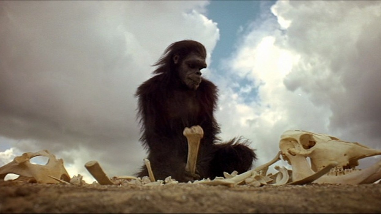 What is a Match on Action Cut: Definition & Editing Technique | No Film ...