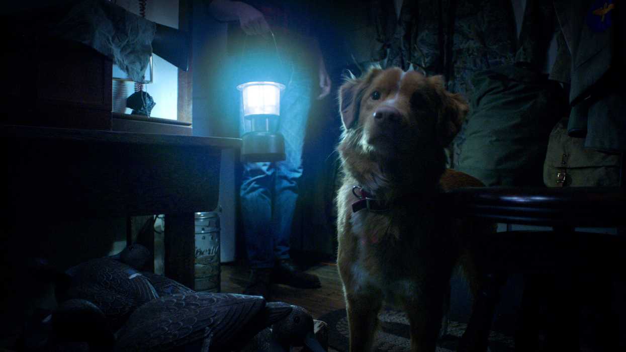 Why Is Everyone Talking About The 'Good Boy' Trailer?