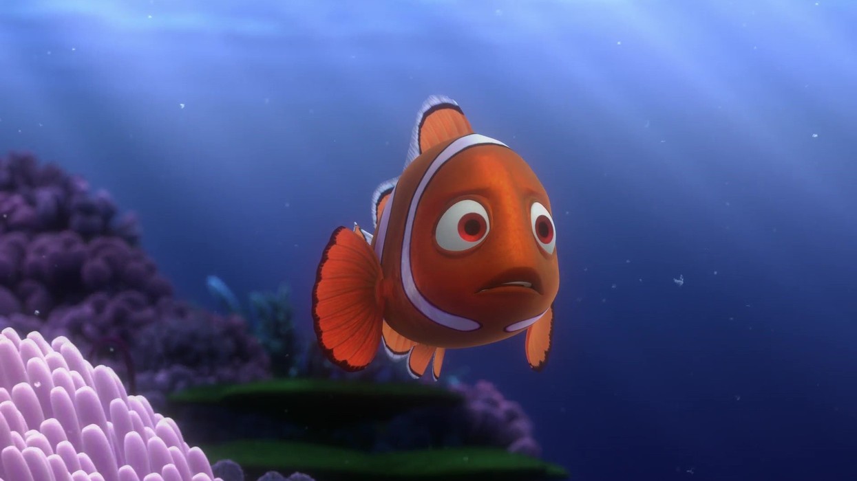 Why Nemo's Mom is the Most Important Character in the Movie | No Film ...