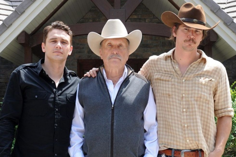 Wild_horses_credit_fred_hayes