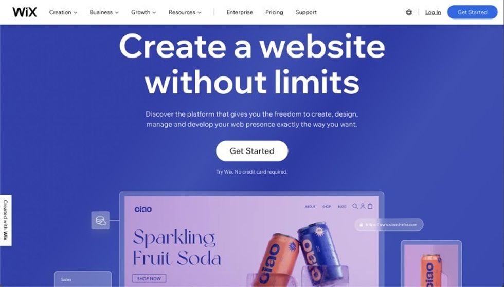 Wix Website