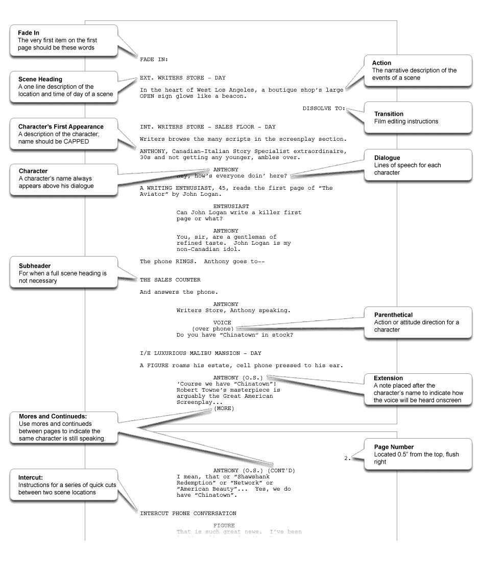 How to Format Your Screenplay for Filmmakers (Movie Script Template)