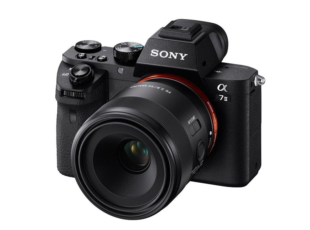 Sony Adds 4K to New a7 III Mirrorless Camera