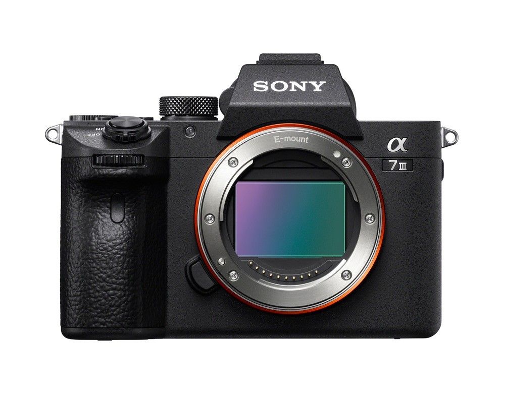 peper straf Verdampen Sony Adds 4K to New a7 III Mirrorless Camera