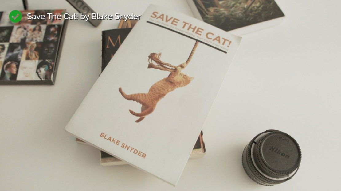 save the cat book