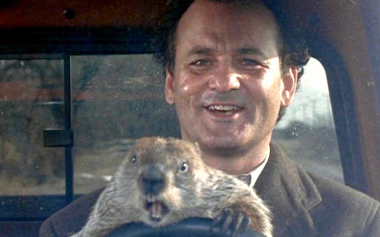Bill Murray Groundhog Day Harold Ramis comedy no film school 