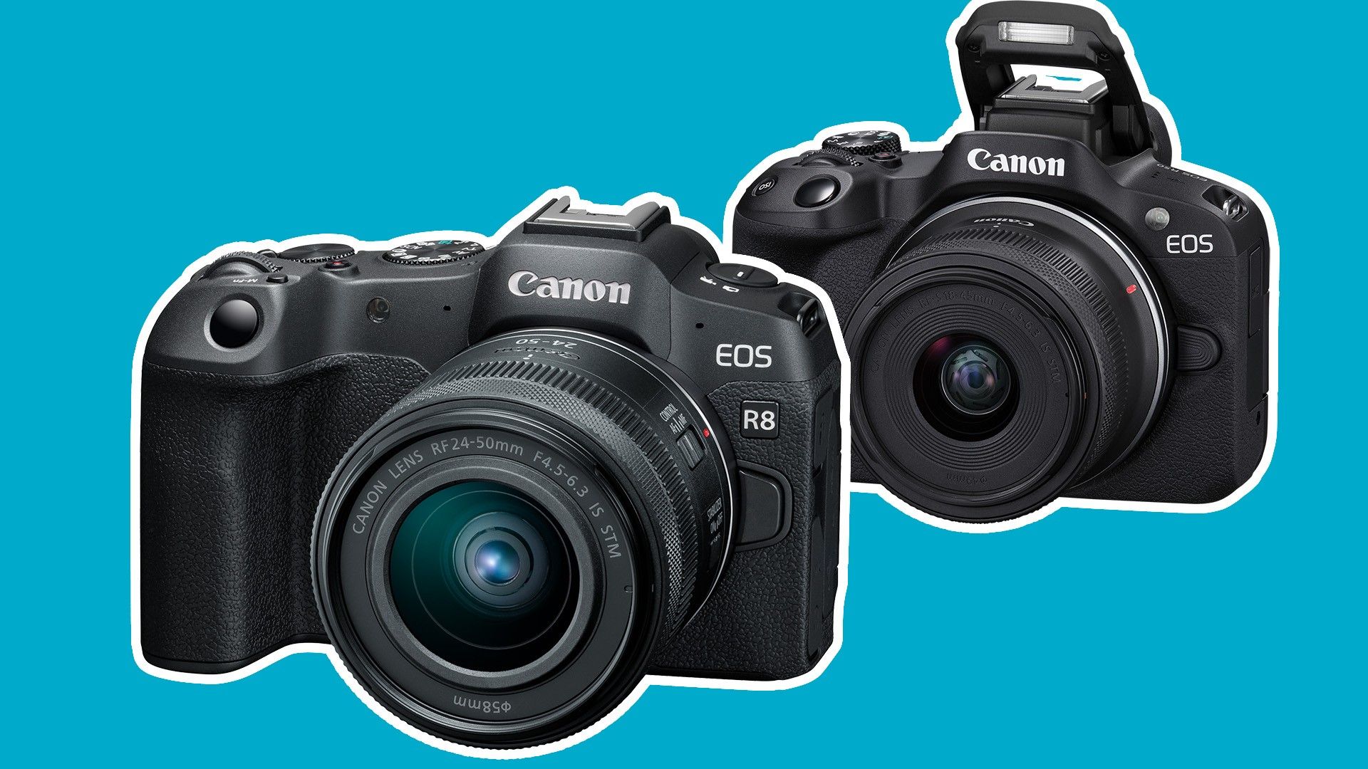 Canon EOS R8 and R50