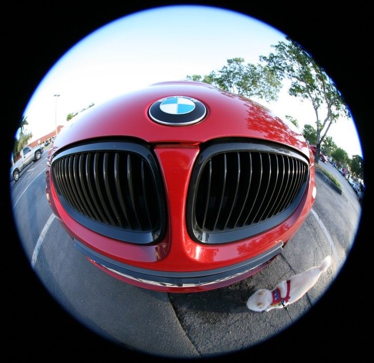 What is a Fisheye Lens? Definition and Examples for Filmmakers